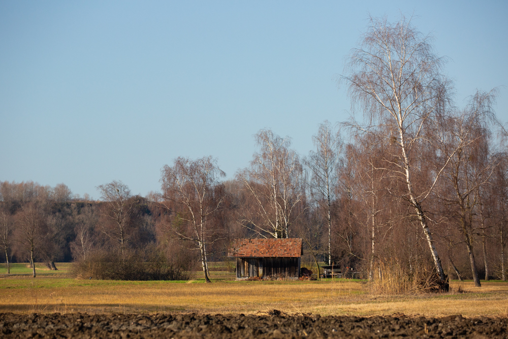 Lauteracherried im Jänner 29
